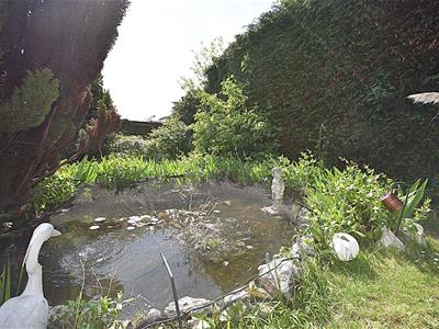 Picture 28